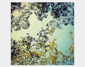 Treetops: square fine art photograph print with green leaves and blue sky