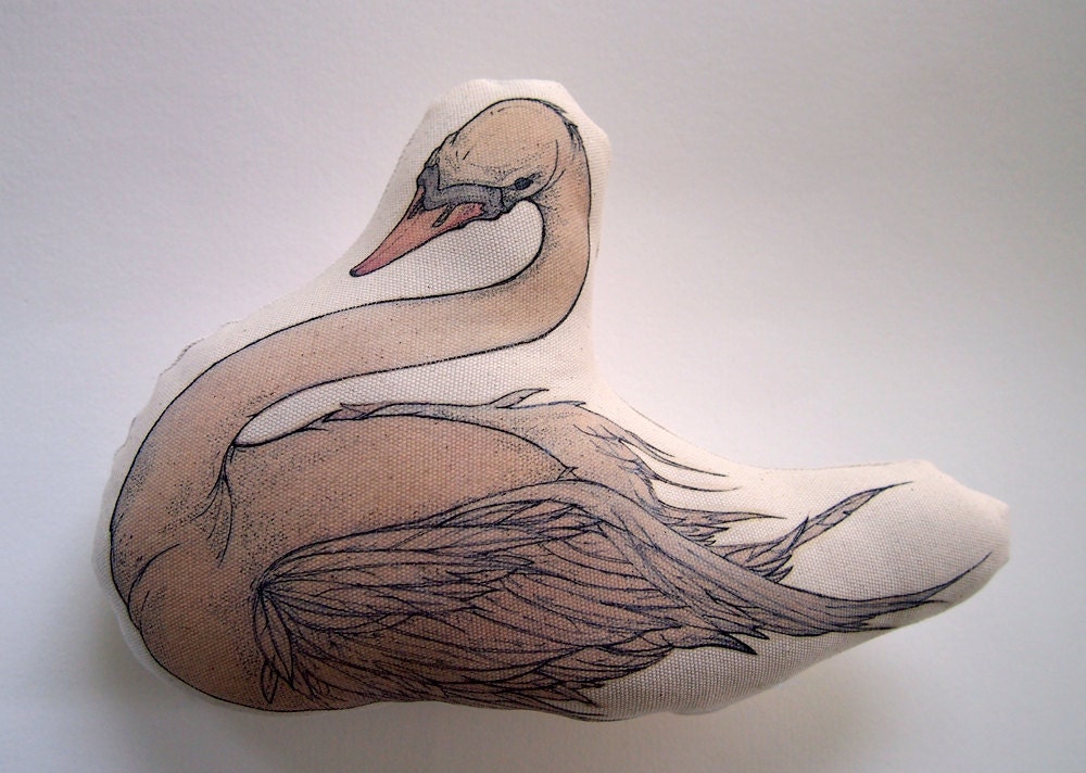 Rose - A Young Swan V