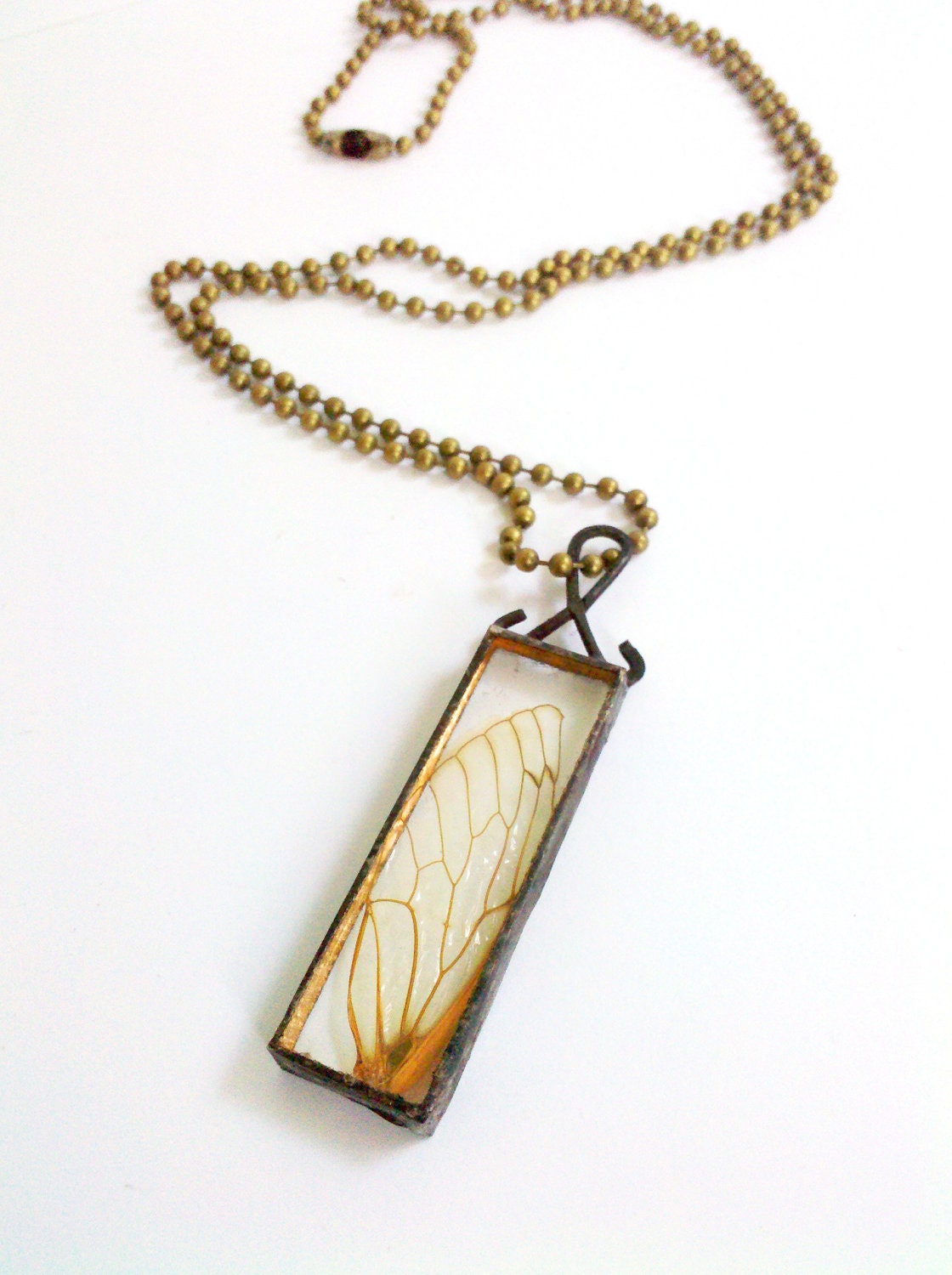 Fairy Wing Glass Specimen Locust Wing Pendant Necklace