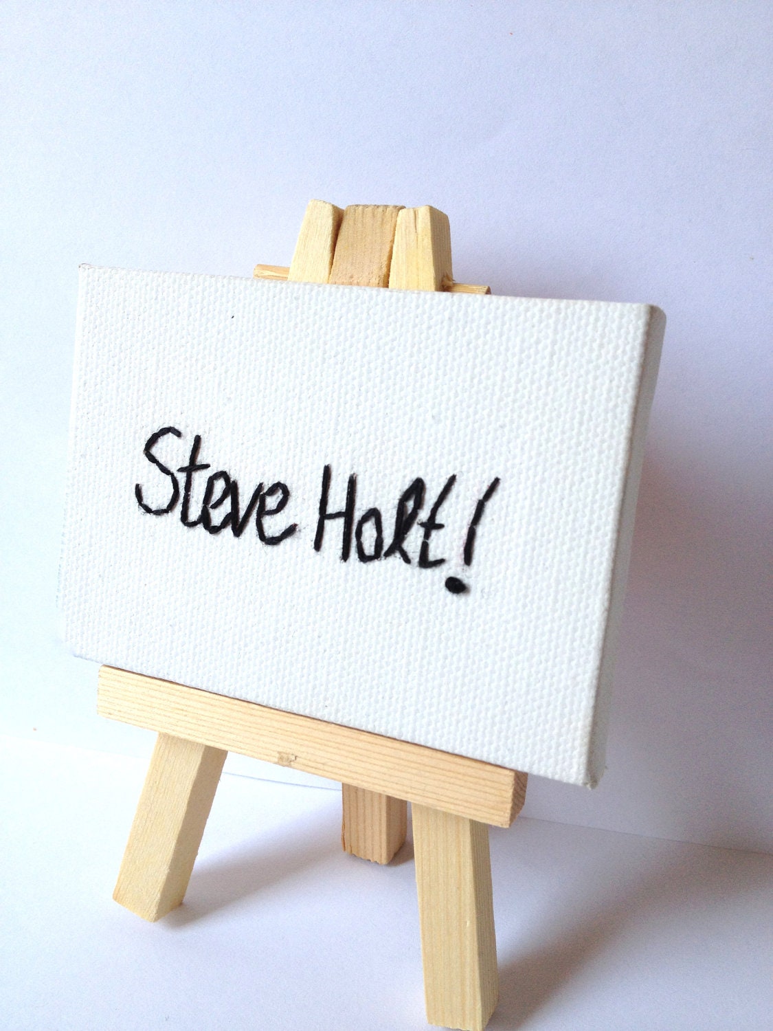 Steve Holt. Embroidered Canvas, mini canvas sign.  Arrested Development quote.  READY TO SHIP