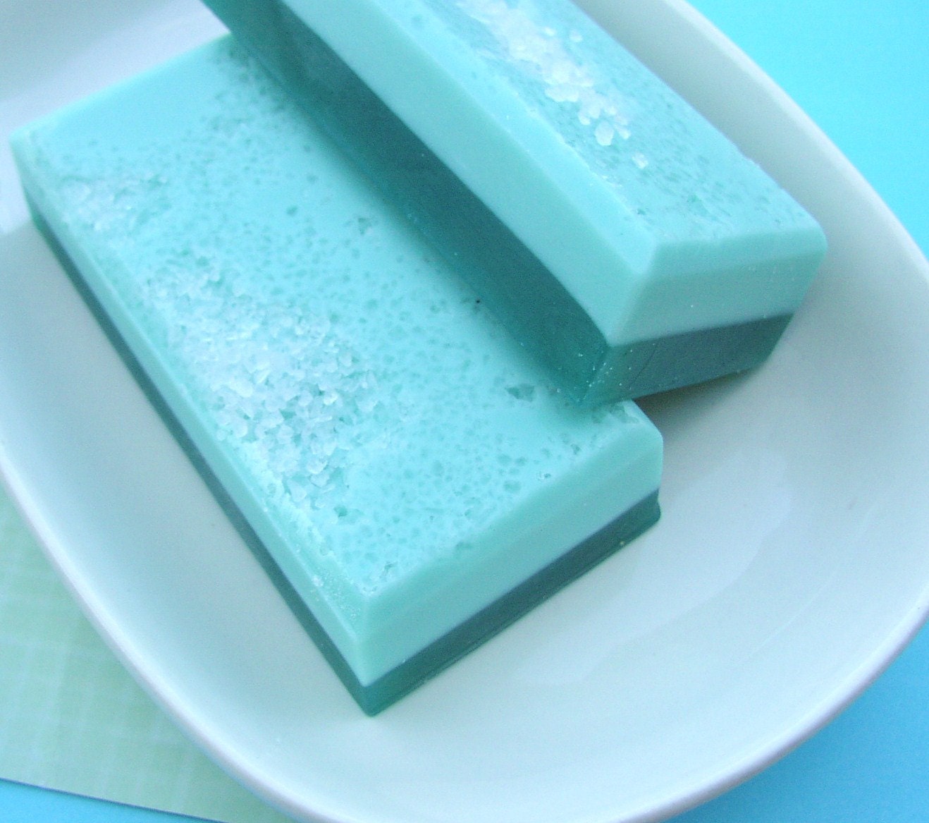 Eucalyptus and Mint Soap - Salt Bar Soap - Glycerin Soap - Natural Soap - Shaving Soap - Spa Soap - Great scent for both guys and gals