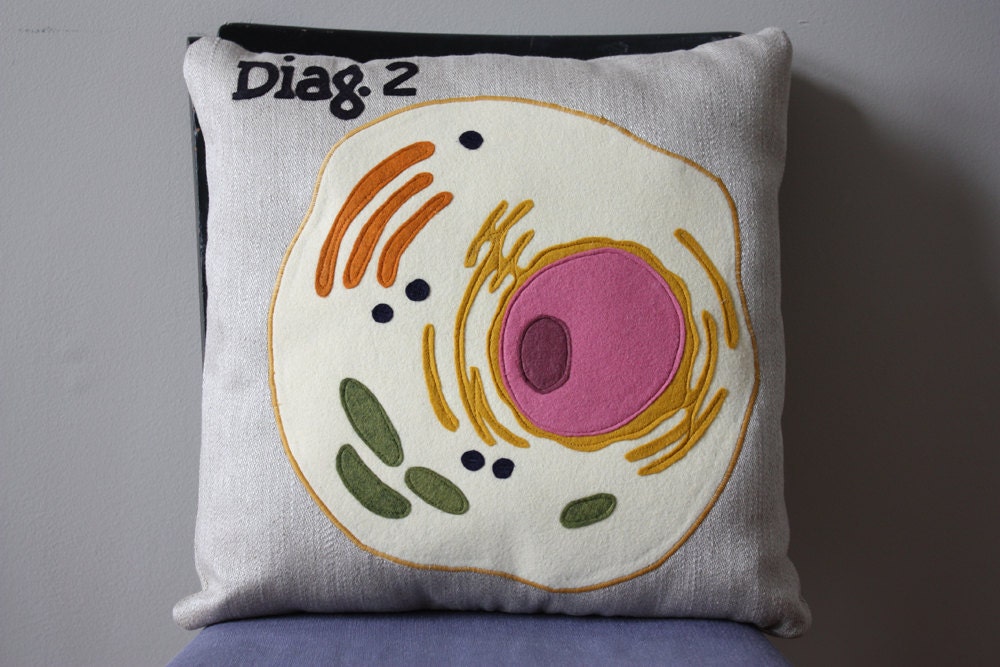 Science Diagram Pillow - Eukaryotic Cell