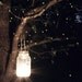 Nature Heart Photograph Photo - Love, fireflies, whimsical, summer, nighttime, night, dark - Lights of Love - 8 x 10 Fine Art Print