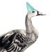 Party Animal - Goose with Party Hat - Watercolour, Pen and Ink illustrated blank A5 Card with Envelope