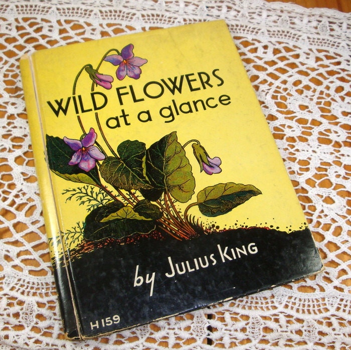 Wild Flowers At A Glance, Julius King, 1935, Vintage Flower Reference Book, Illustrated  (383-13)