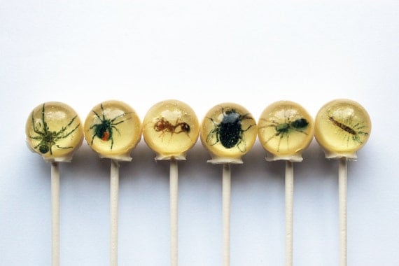 Insects spiders flies centipedes ball style edible images hard candy lollipop - 6 pc. - MADE TO ORDER