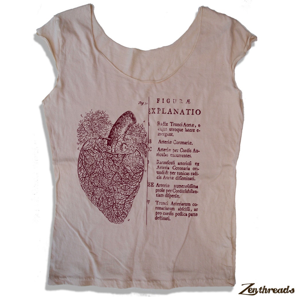 Womens Anatomical HEART Scoop Neck Tee  - american apparel T Shirt S M L XL (5 Color Options)