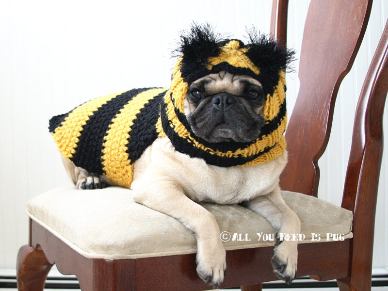 Bumble Bee Dog Clothing Gift Set - Dog Hat and Dog Sweater Set- Made to Order