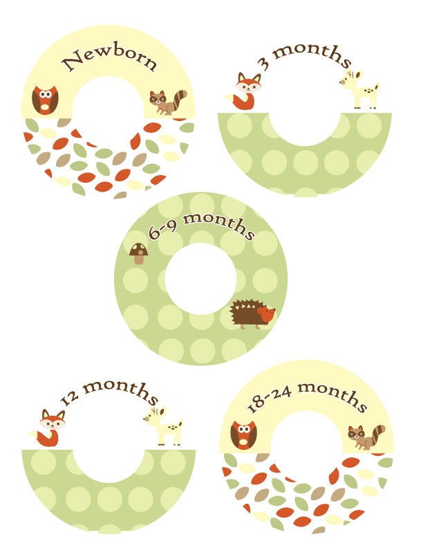 Custom Closet Divider Set - FOREST FRIENDS
