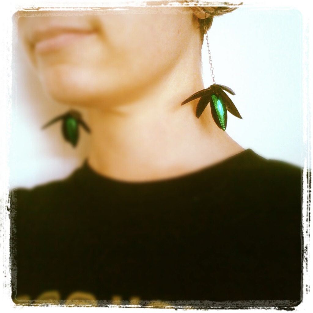 Elegant Elytra Whirligig Earrings