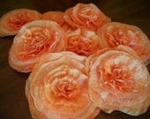 8 Peach Bridal  Chair Flowers