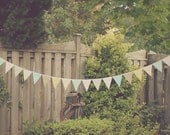 Earthy Pastel Mint Blush Buttercup Fabric Bunting, Garland, Banner, Pennant Decoration 11 FT / Larger 7 Inch Flags Il_170x135