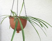 Hanging planter, kitchen decor gardening Ceramic Bowl Outdoors Garden Large brown, Zen garden floral accessories