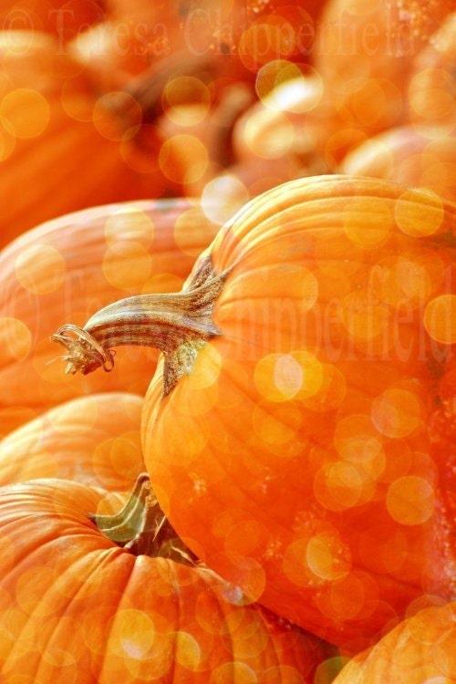 SALE - Fine Art Photography "Magical Pumpkins" - 11 x 14 - Digital Photo Print - Orange Harvest Fun with Bokeh - Halloween Magic, Home Decor - PhotosByChipperfield