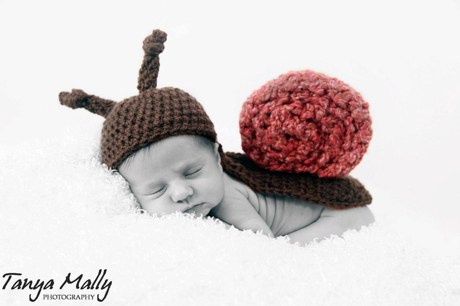 Snail Newborn Cape Prop