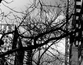 86th Street and 2nd Avenue 8x10 Black & White Film Print