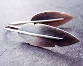 Sterling Silver Feather Earrings