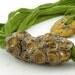 Skinny scarf lariat fiber necklace scarf necklace cotton ceramic long green brown vegan ooak ceramic beads curationnation therougett