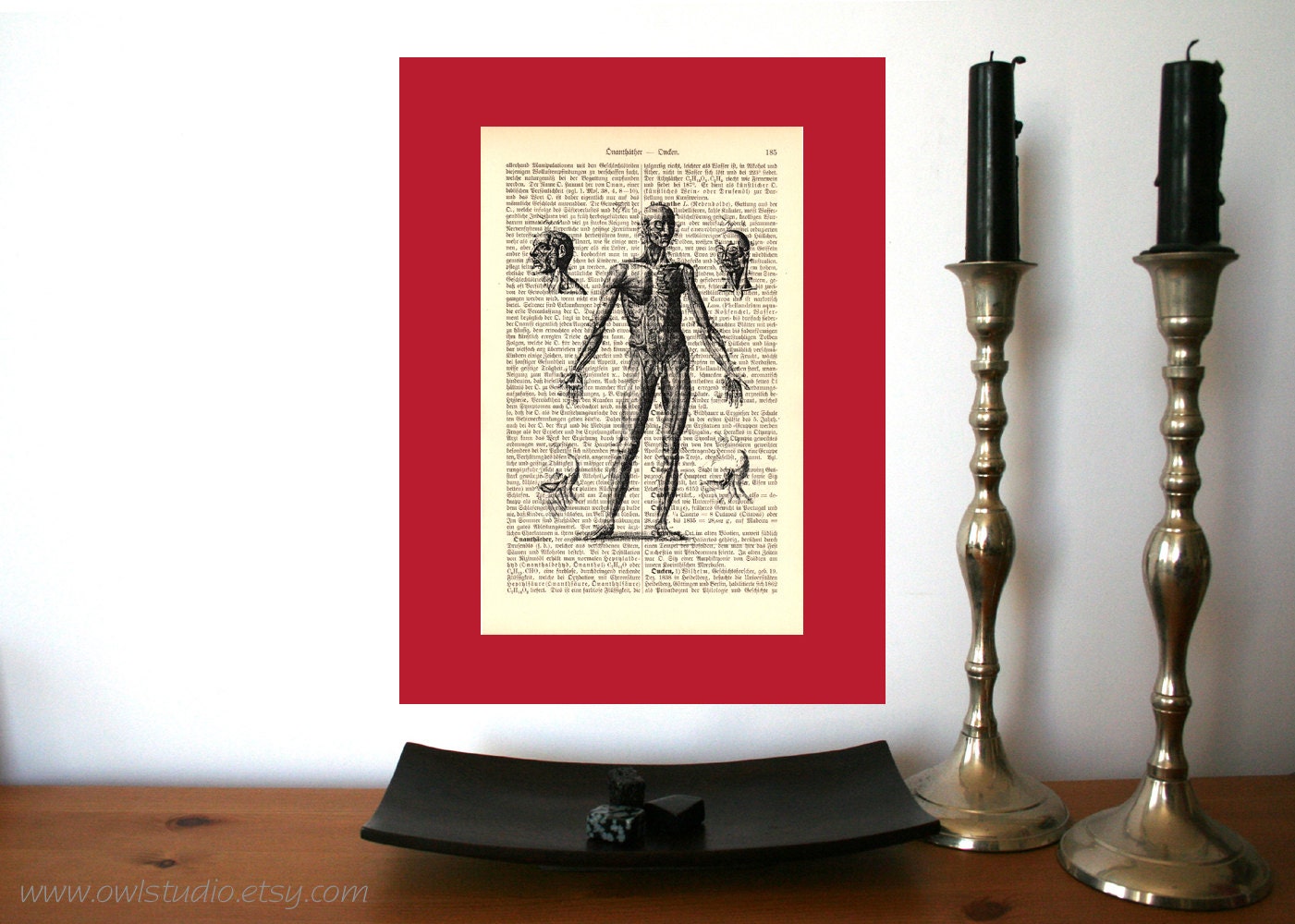 Anatomical Study Vintage Art Print on Antique 1896 Dictionary Book Page