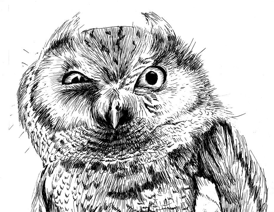 Owl Ink