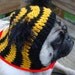 Little Lamb Dog Hat / Made to Order