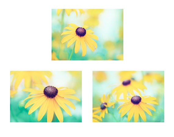Set of Three 5x7 Flower Photographs - spring photos yellow turquoise teal color - blue mint green aqua photography - print set wall art