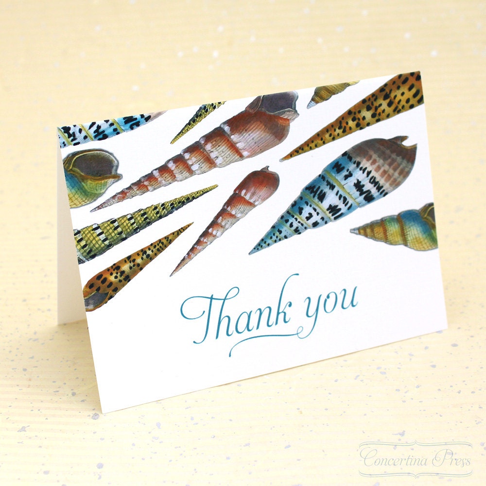 Spiral Seashell Thank You Notes - Set of 8