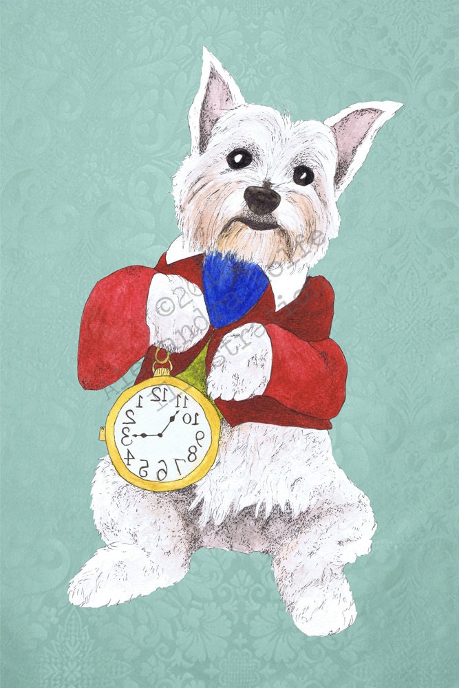 Westie as the white rabbit illustrated 8 x 11" wall art print