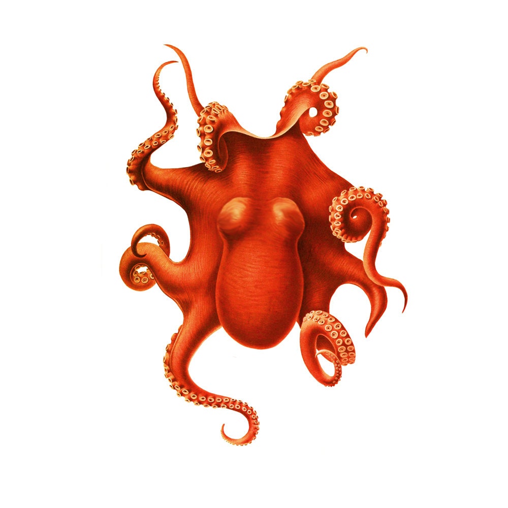 The Octopus Nautical Orange Red Vintage Style Art Print