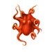 The Octopus Nautical Orange Red Vintage Style Art Print