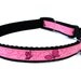 Butterfly Dog Collar 5/8" Pink Dog Collar