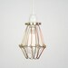 Industrial Cage Hanging Lamp Bronze- Industrial Hanging Lamp, Antique Edison Bulb, Black Cage Lamp, Rustic Lighting