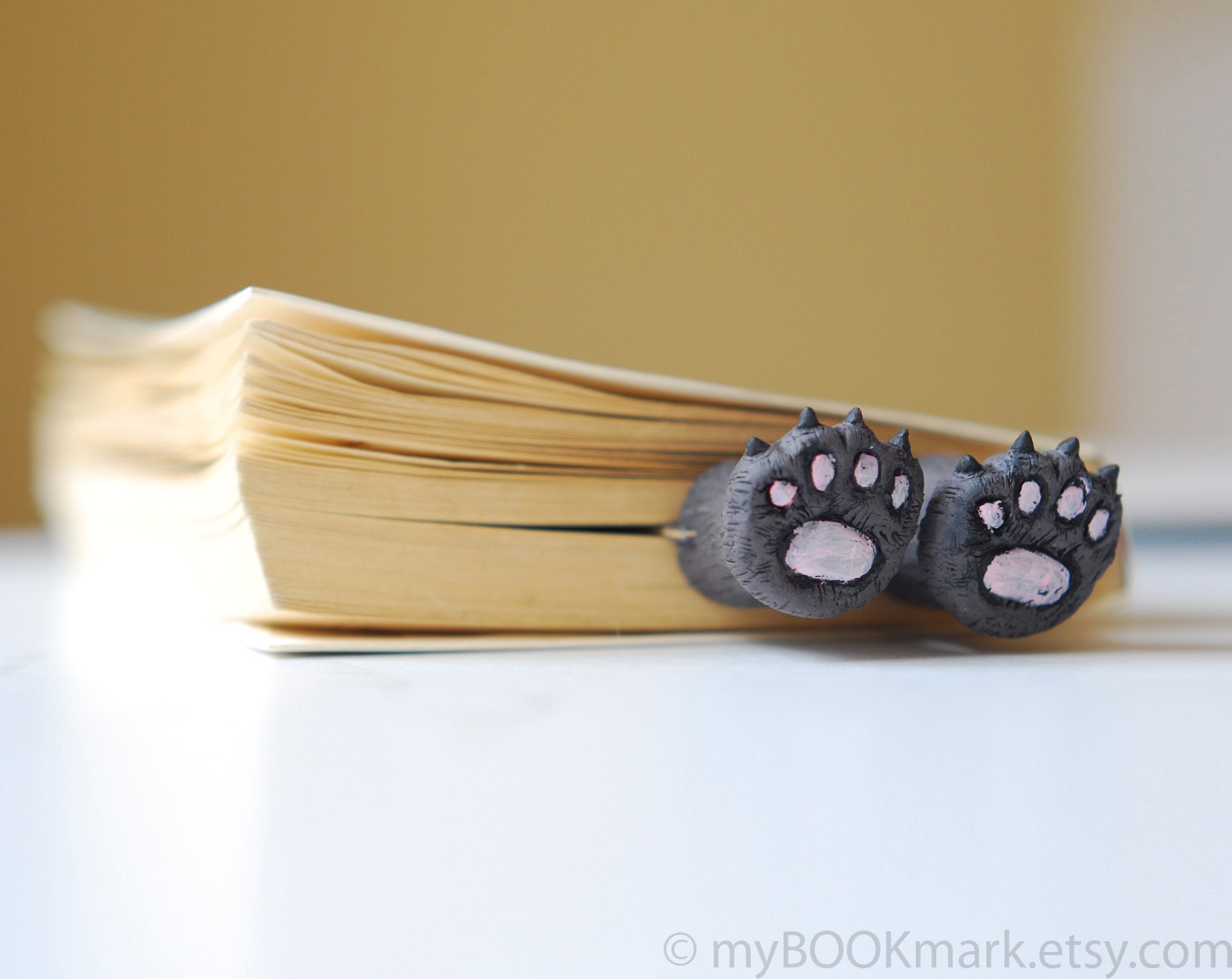 Cat paws .Bear paws in the book. Funny gift. Cat in book for child, children, kids, for her, all, hostess.