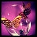 Butterfly with crystals to place on the glass's rim