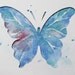 Art, Butterfly, butterfly art work, insect art, paper art work, watercolor paining,  Butterfly---  original abstract watercolor painting.