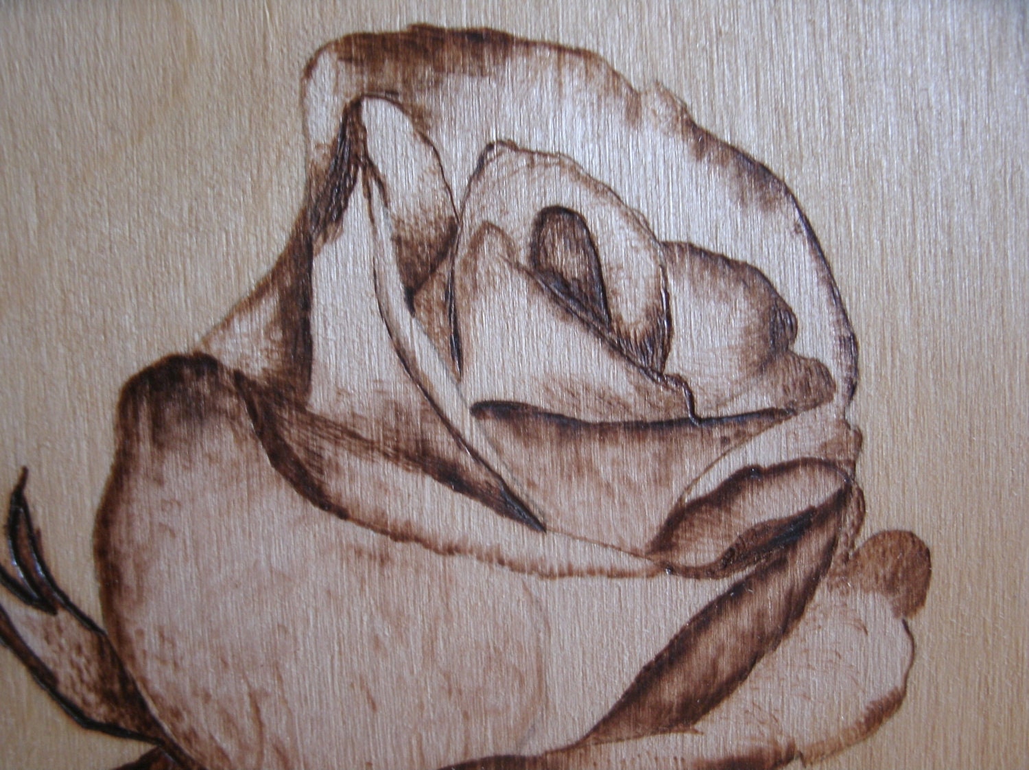 The Rose woodburned wall hanging very detailed nice accent piece hand burned pyrography