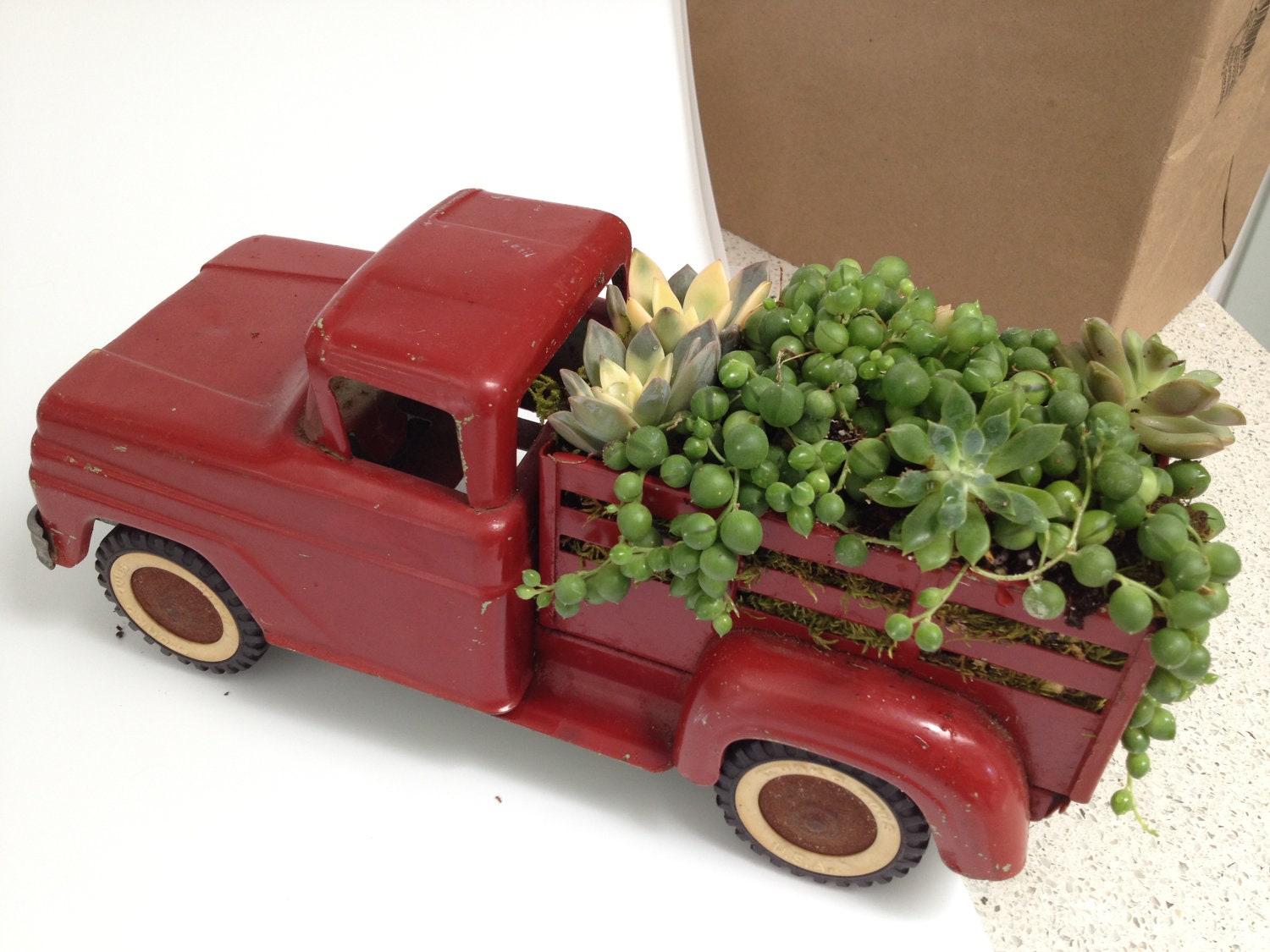 Succulent Garden in a Vintage Farm Truck