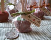 22 Caramel Apple Glycerin Soap Favors, Mothers Day, Fathers Day,Bath, Home, Gifts, Parties, Favors, Fall Soap, ACOFT, OFG team, WIB