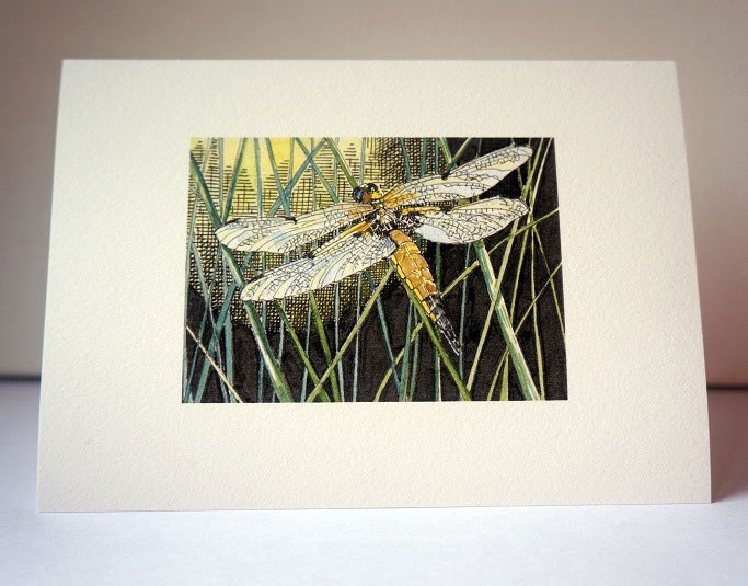 Dragonfly greetings card, note card and envelope