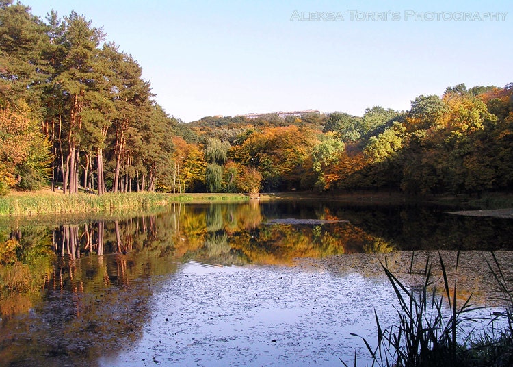 Forest pond - Autumn landscape - 5x7 Fine Art Photography