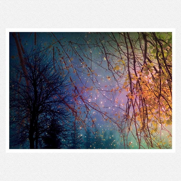 Starry Night Decor Photography, purple, peach, green, tree branches, Through the Trees, nature fine art photography print 8x12