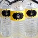 Bee Party PRINTABLE Drink Labels (INSTANT DOWNLOAD) by Love The Day