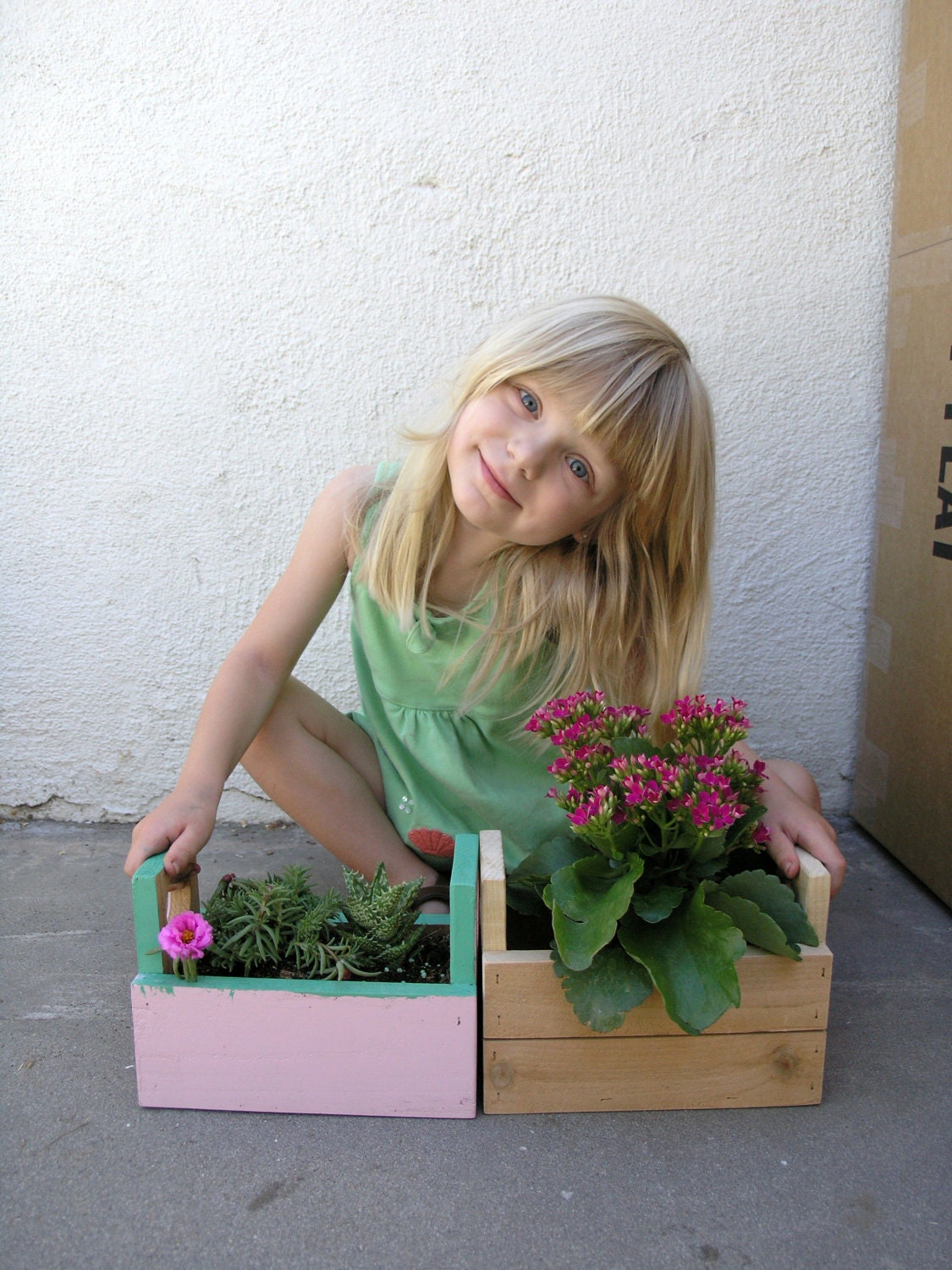 One Dozen -Twelve- Cedar wood planters - Girls or Boys Birthday Party Favors - Wedding Favors - Garden planters - Herb planters