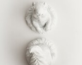 The Squirrel - White Tree/Wall Squirrel Decoration - Animal Statue - Faux Taxidermy - Squirrel In A Knot