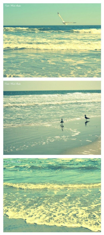 Ocean Photography Set Seagull Beach Aqua Turquoise NJ Waves Home Decor Sale dreamy shabby cottage chic sand Sale