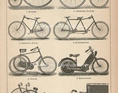 1890 Cycles, Velociped plate, bicycle tricycle original antique engraving