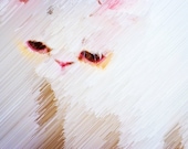 oh kitten 5 x 7 print