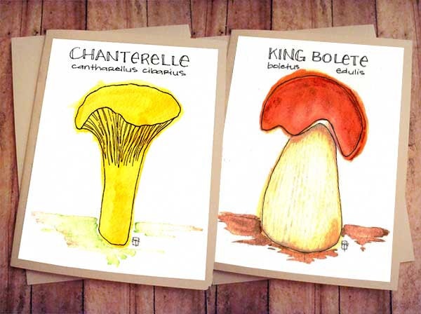 Set of 10 Illustrated Blank Mushroom Greeting Cards hand-rendered in Ink with Watercolor