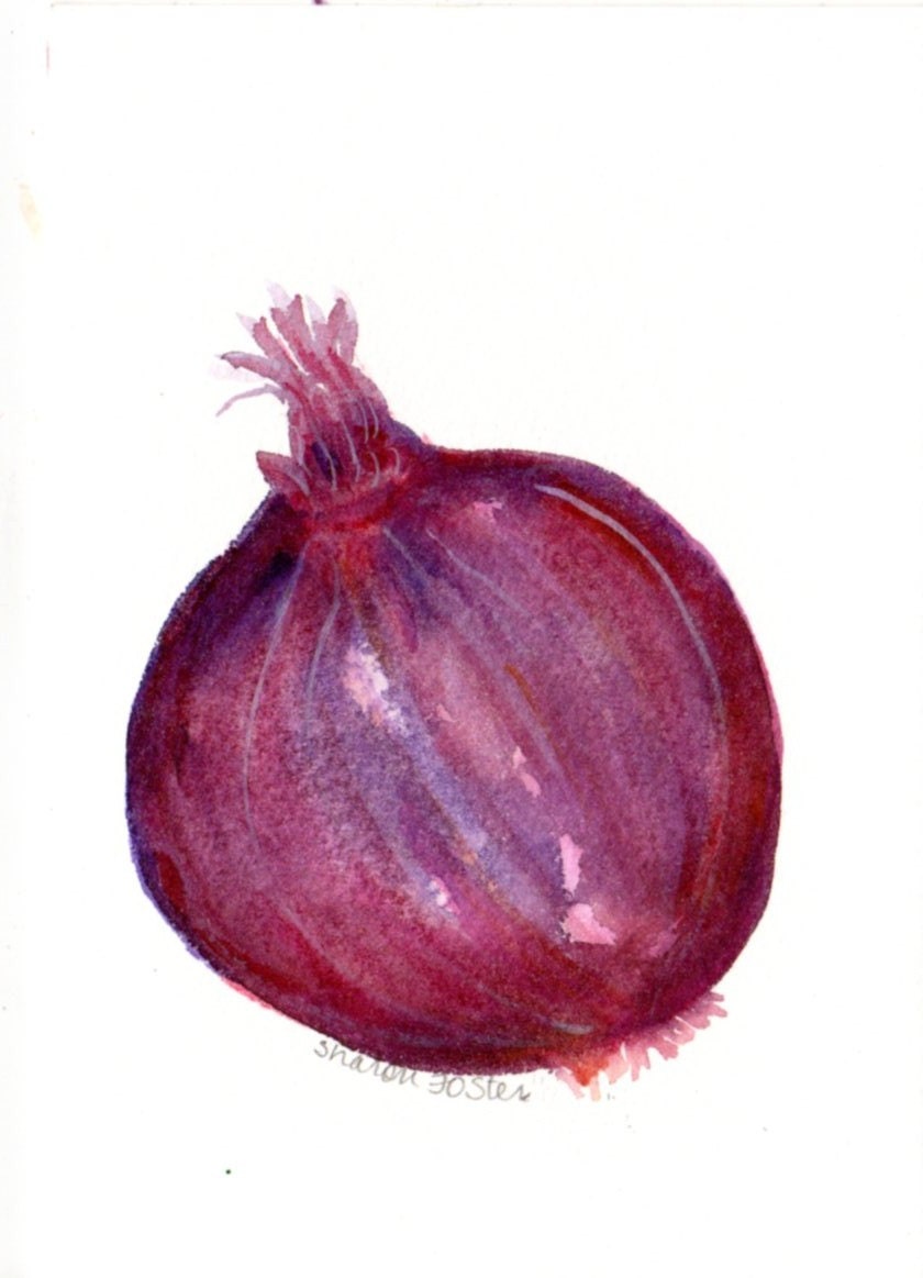 4 x 6 Original Purple Onion  Painting Watercolor Vegetable Series