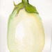 White Eggplant watercolor painting, 4 x 6 Original ART, vegetable series